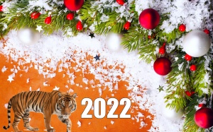 С Новым годом 2022!